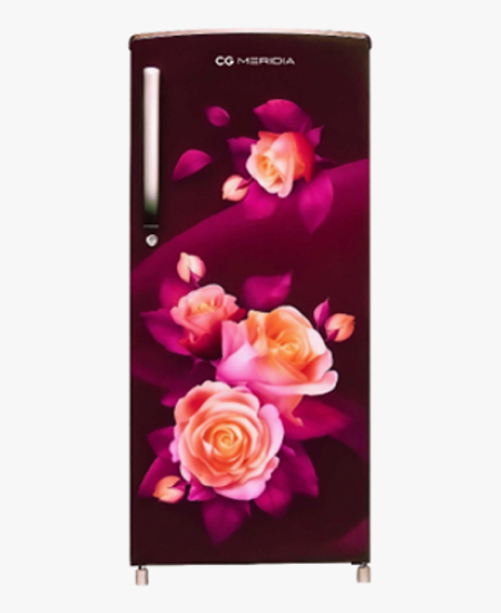 Single door cgmrs225rr